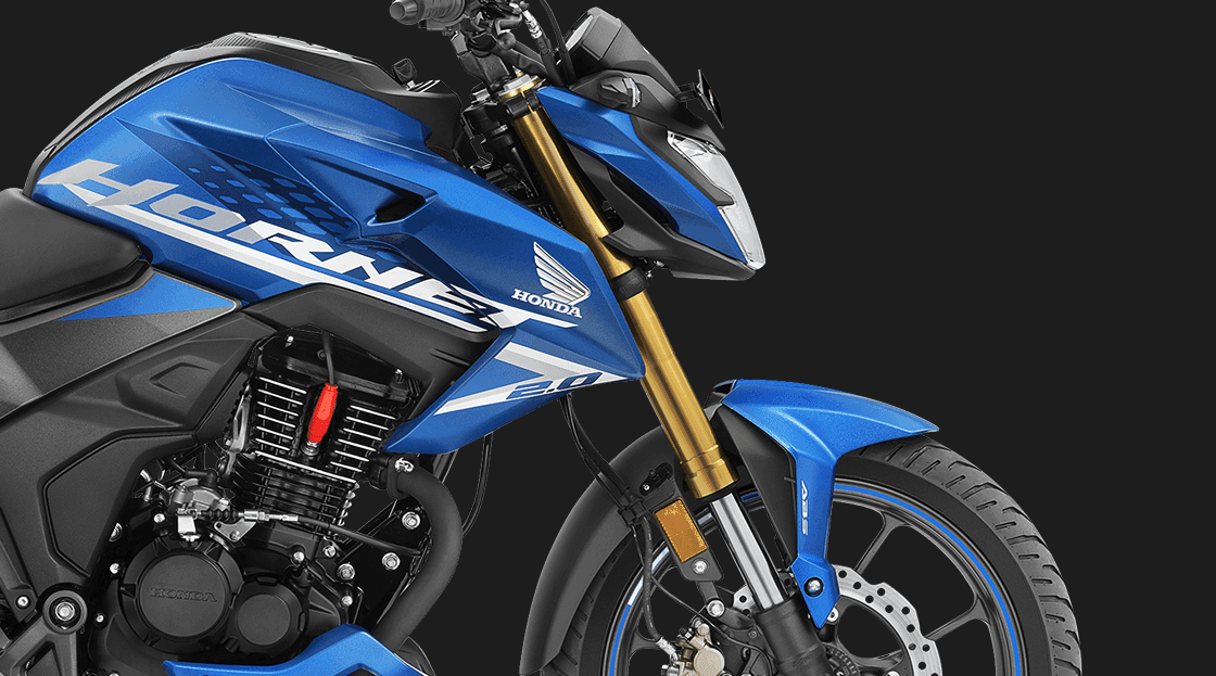 Assist/Slipper Clutch